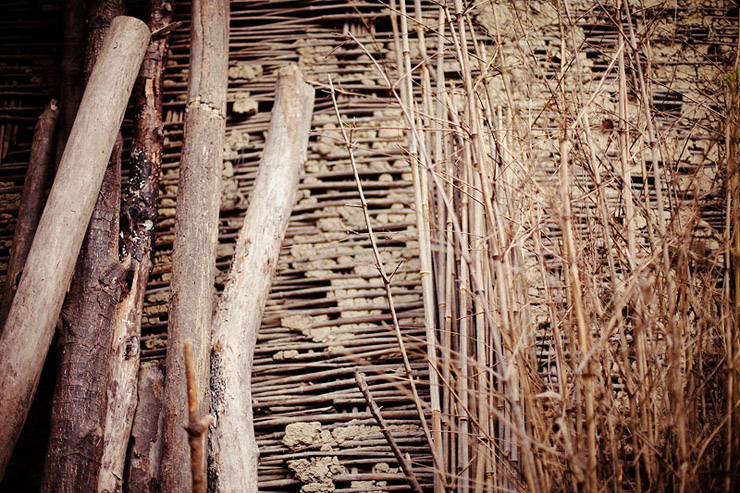 dehang china bamboo