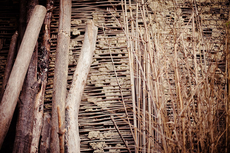dehang china bamboo