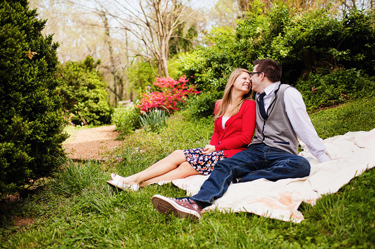 picnic engagement photos