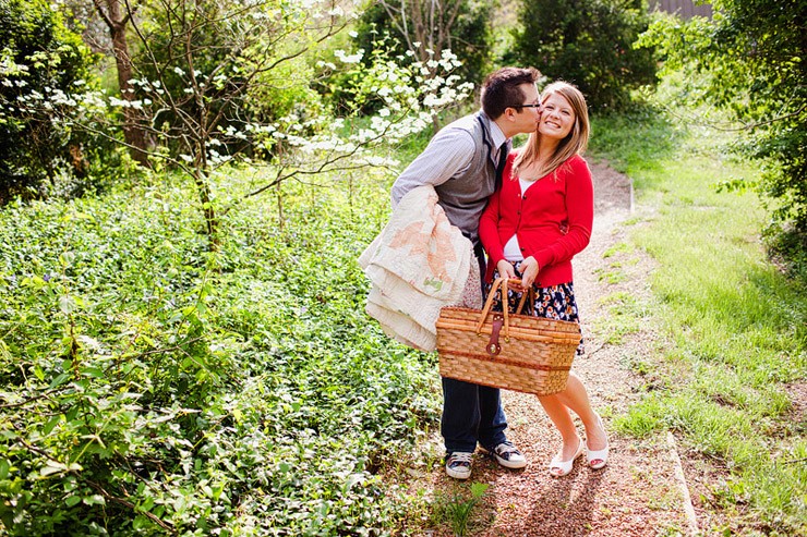 picnic engagement sessions