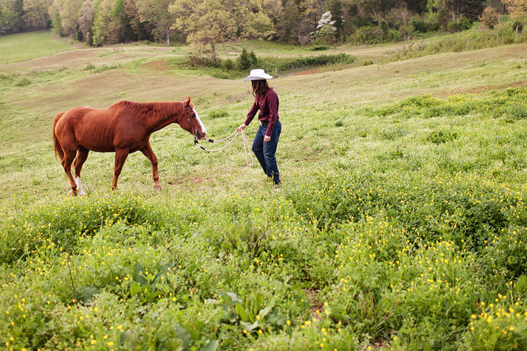 knoxville senior portraits