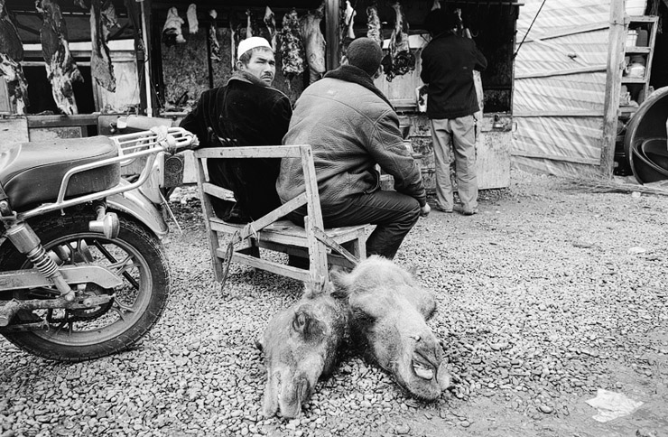 camels in hotan's bazaar