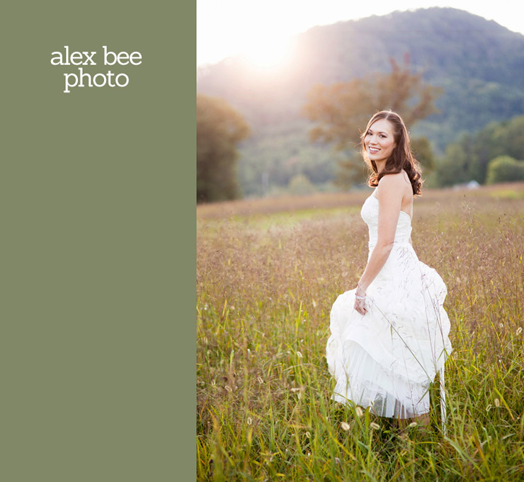 the best of alex bee photo