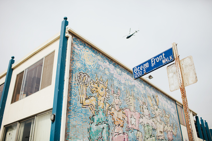 the  venice beach boardwalk