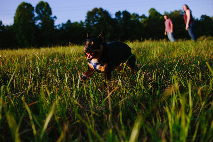 east tennessee engagement photos