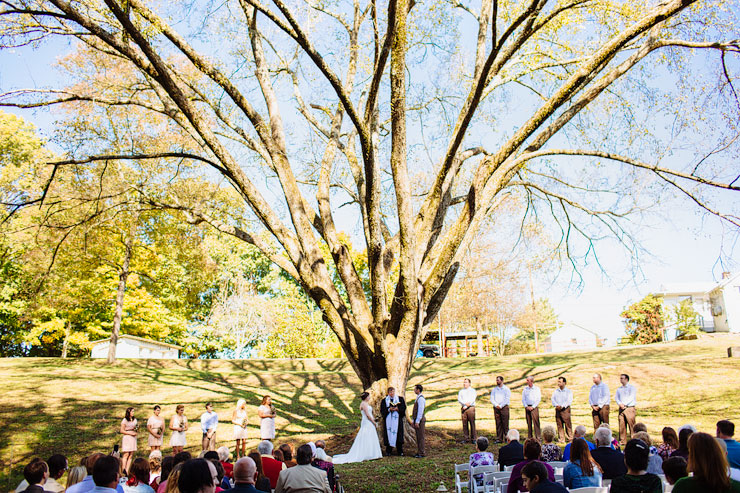 bride and groom getting married under a huge tree