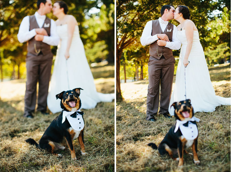 bride and groom with their dog