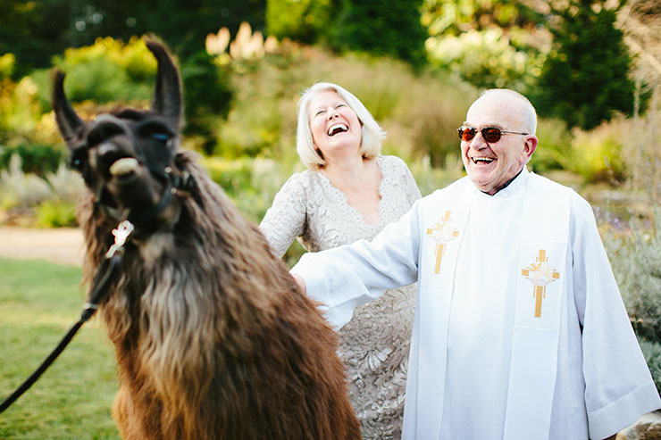 catholic priest with llama
