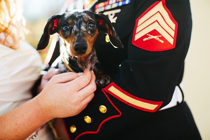 bride and groom with a dog