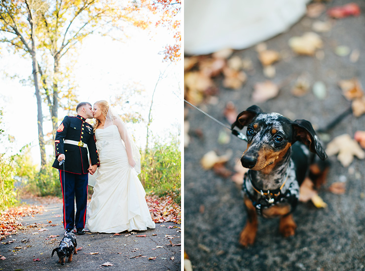 wedding portraits with a dog