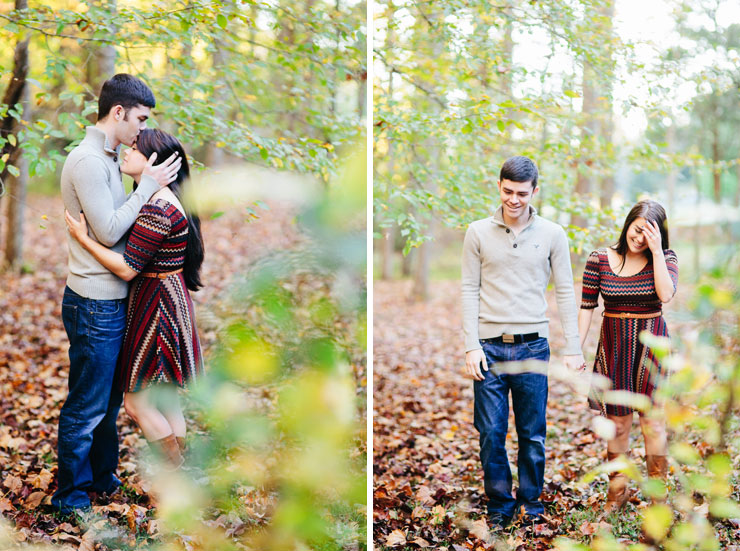 tennessee mountain engagement photos