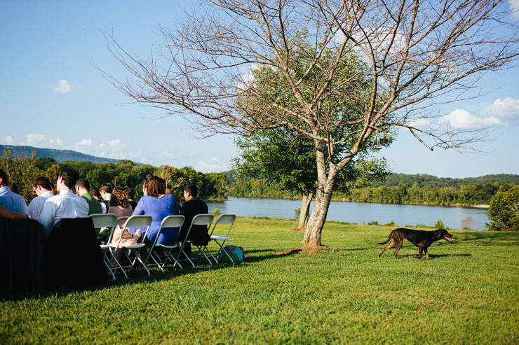 wedding photojournalist