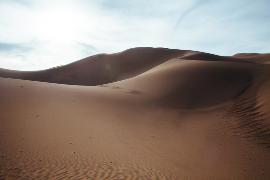 camel trek china