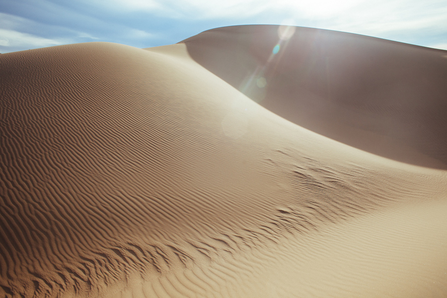 gobi desert camel trip