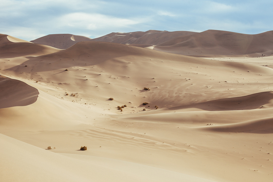 camel trek china