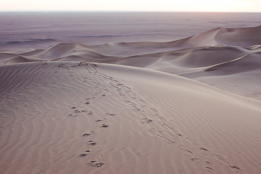 footsteps in gobi desert