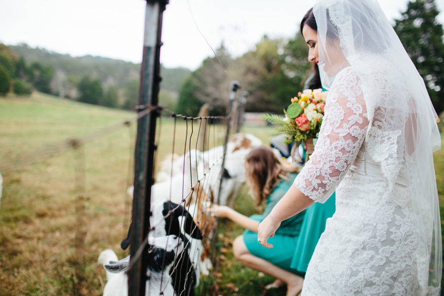 the barn at high point farms bride with goat