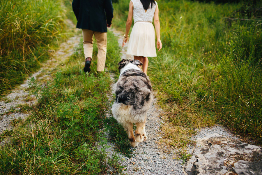 dog friendly nashville photographer