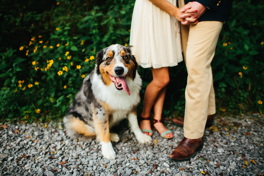 engagement session with dog