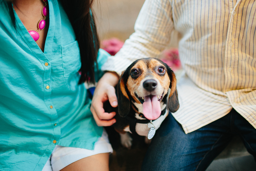 engagement session with dogs