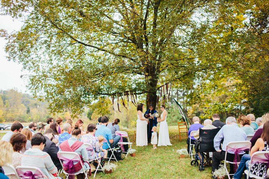 getting married under an amazing tree