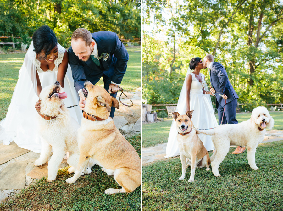 dogs at weddings