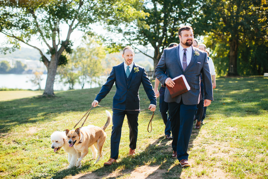 wedding with dogs