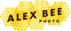 Alex Bee Photo